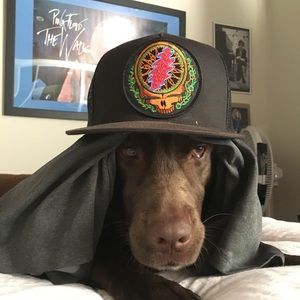 Meet your Posher, Matt